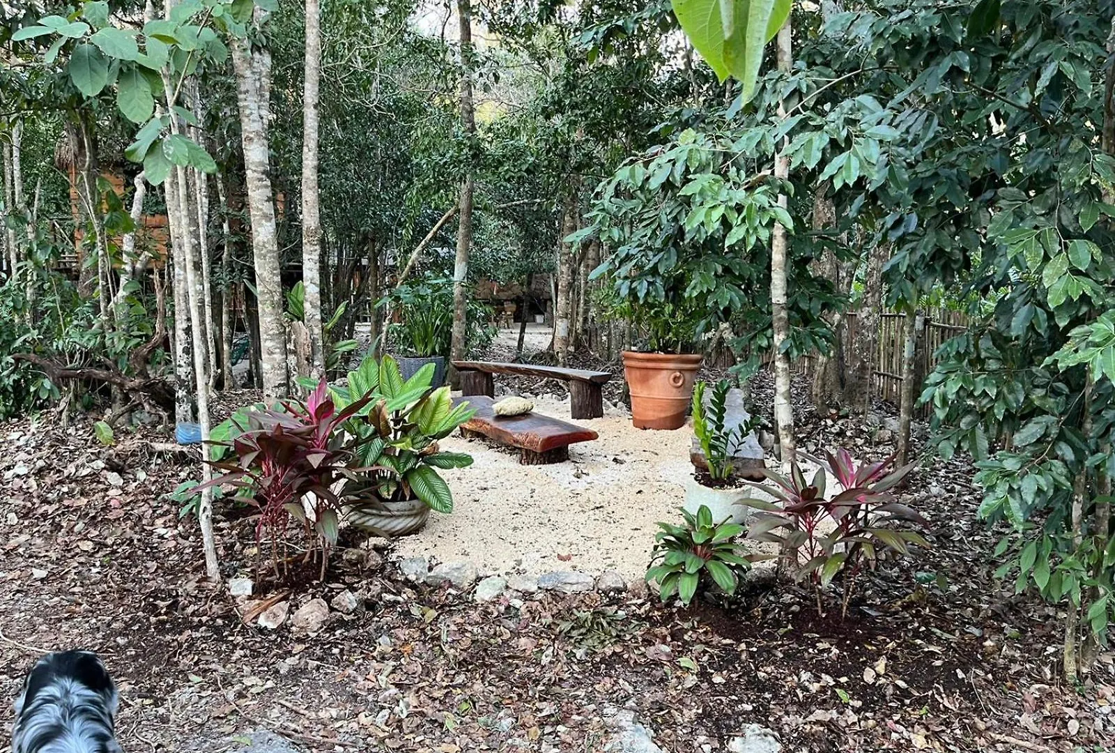 Villa Selvaluna Cabana Eco-Chic Tulum Mexico